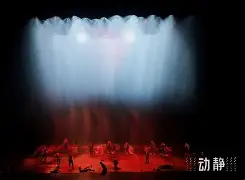 郁金香为什么不能种家里 郁金香为什么不能种家里