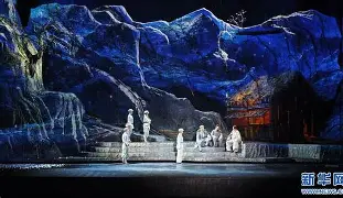 郁金香为什么不能种家里 郁金香为什么不能种家里